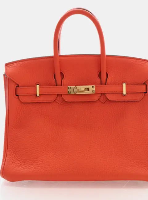 Hermes Birkin 25 Feu Togo Calfskin Leather Top Handle Bag