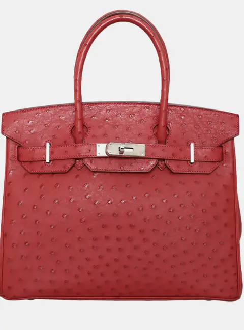 Hermes Birkin 30 Rouge Vif Ostrich Leather Top Handle Bag