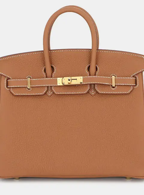 Hermes Birkin 25 Gold Togo Calfskin Leather Top Handle Bag