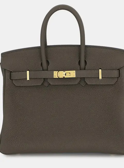 Hermes Birkin 25 Vert Maquis Togo Calfskin Leather Top Handle Bag