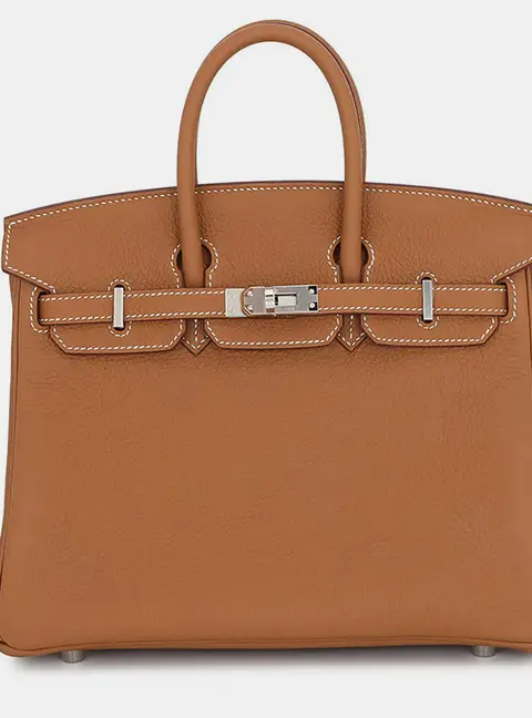 Hermes Birkin 25 Gold Togo Calfskin Leather Top Handle Bag