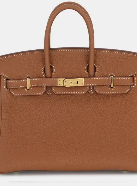 Hermes Birkin 25 Gold Togo Calfskin Leather Top Handle Bag