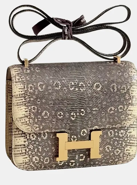 Hermes constance19 bag