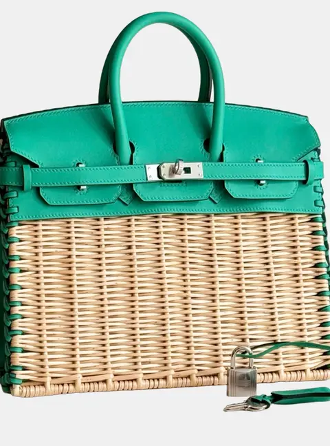 Hermes birkin25 picnic bag