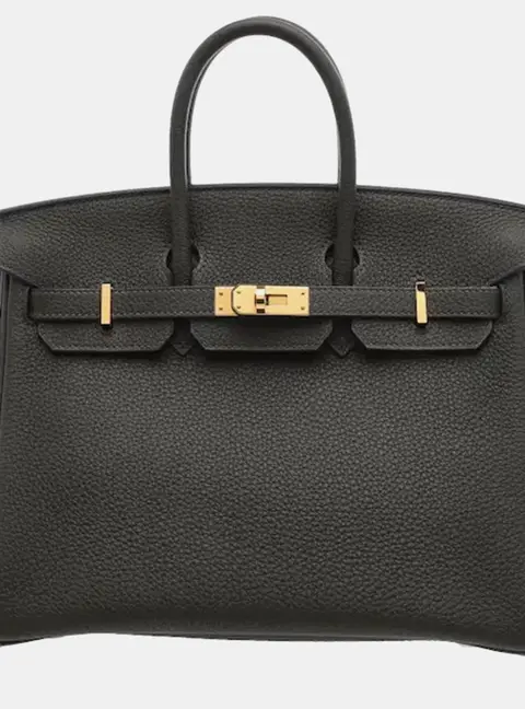 Hermes Birkin 25 Vert de Gris Togo Calfskin Leather Top Handle Bag
