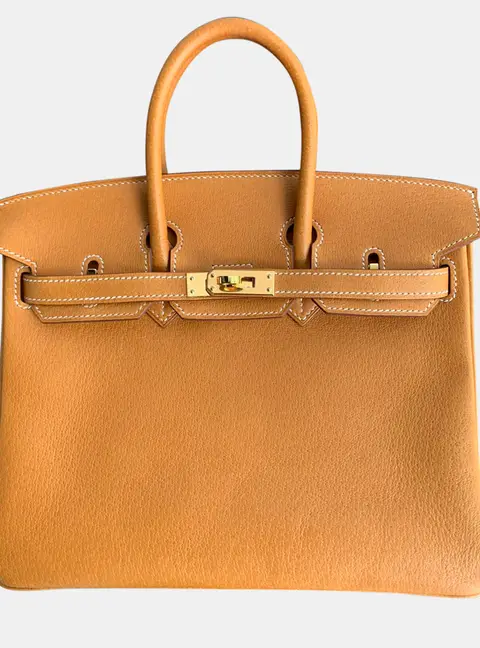 Hermes Birkin 25 Gold Peau Porc Leather Top Handle Bag