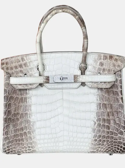 Hermes Birkin 30 Himalaya Niloticus Crocodile Diamond Top Handle Bag