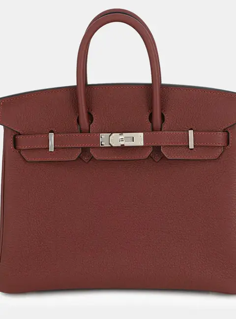 Hermes Birkin 25 Rouge H Togo Calfskin Leather Top Handle Bag