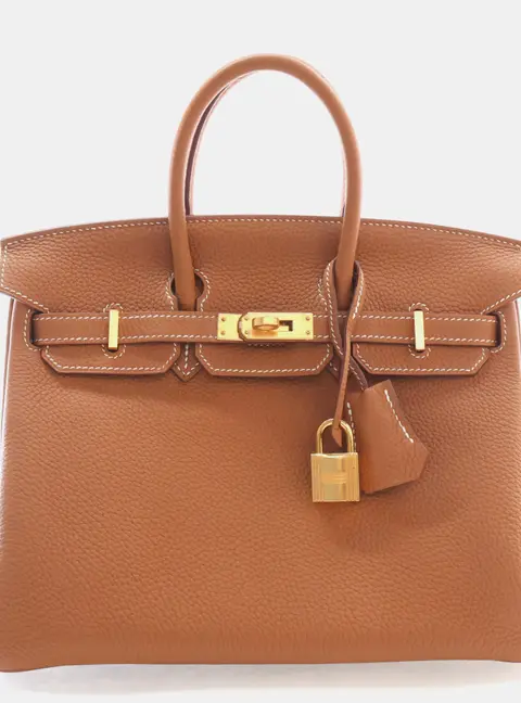 Hermes Birkin 25 Gold Togo Calfskin Leather Top Handle Bag