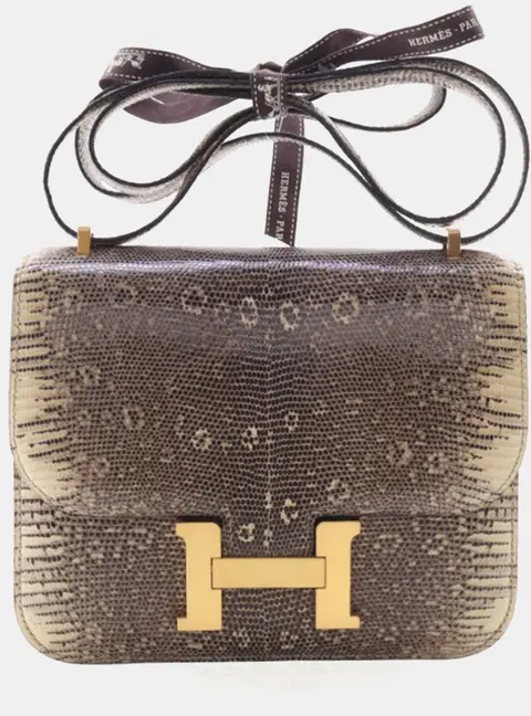 Hermes Constance 18 Ombre Lizard Leather Shoulder Bag