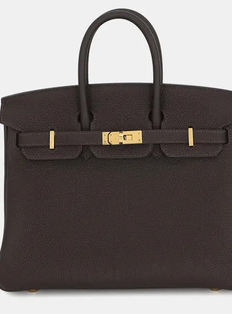 Hermes Birkin 25 Etoupe Togo Calfskin Leather Top Handle Bag