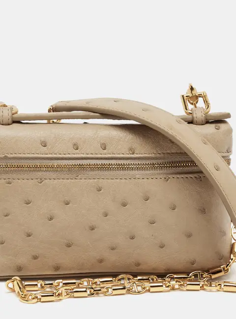 Loro Piana Extra Pocket Mini Beige Ostrich Chain Pouch