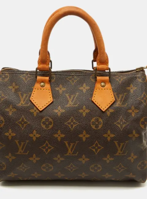 Louis Vuitton Speedy 25 Monogram Canvas Bag