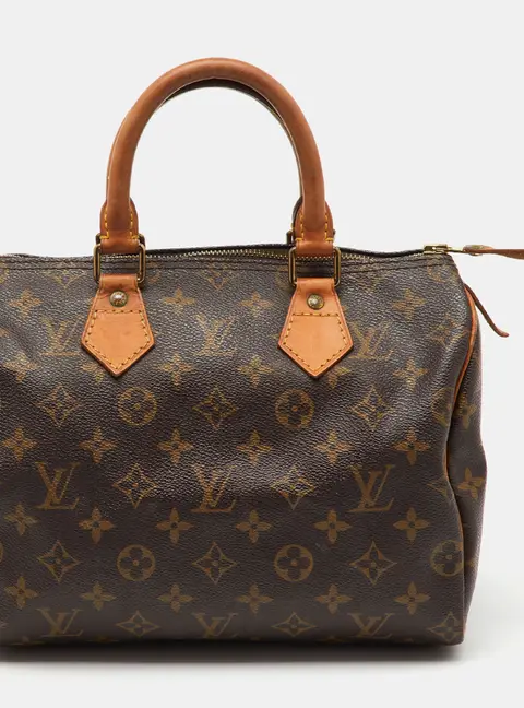 Louis Vuitton Monogram Canvas Speedy 25 Bag