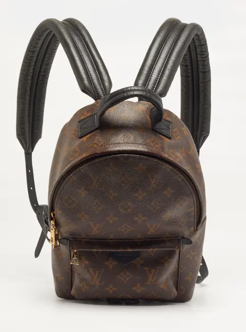 Louis Vuitton Palm Springs PM Monogram Canvas Backpack