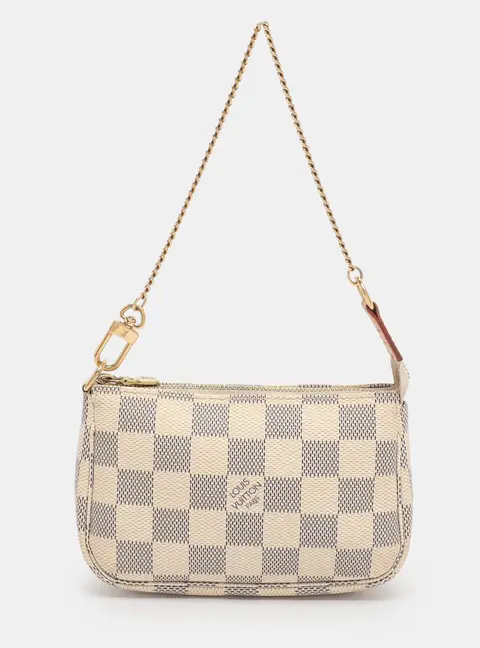 Louis Vuitton Pochette Accessoires Grey Coated Canvas Clutches