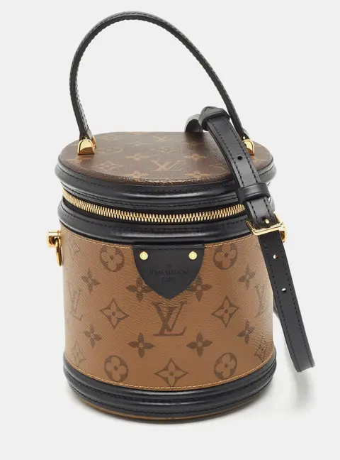 Louis Vuitton Cannes Monogram Reverse Canvas and Leather Bag