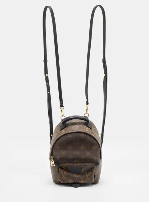 Louis Vuitton Palm Springs Mini Monogram Canvas Backpack
