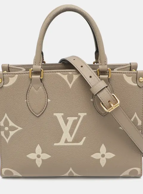 Louis Vuitton Onthego PM Bicolor Monogram Empreinte Bag