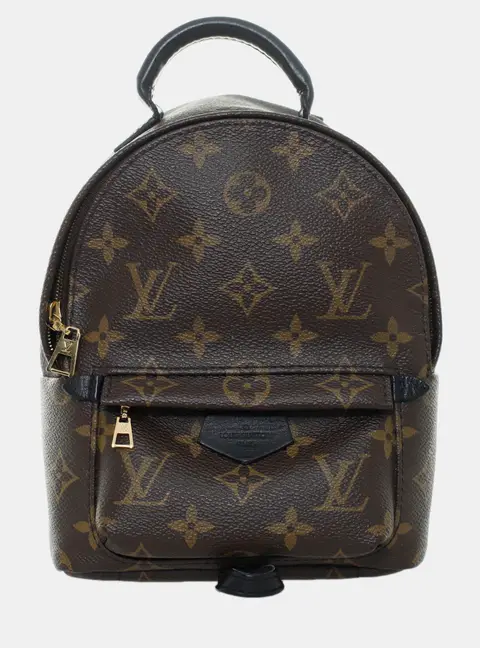 Louis Vuitton Mini Palm Springs Monogram Mini Backpack Brown Monogram Canvas Backpack Bag