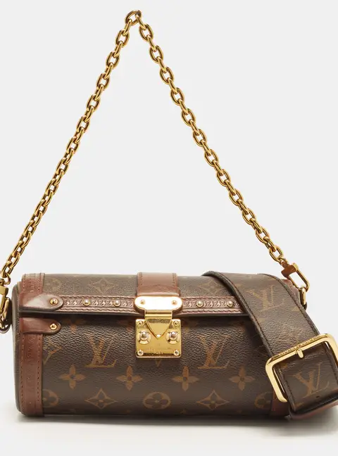 Louis Vuitton Papillon Trunk Monogram Canvas Bag