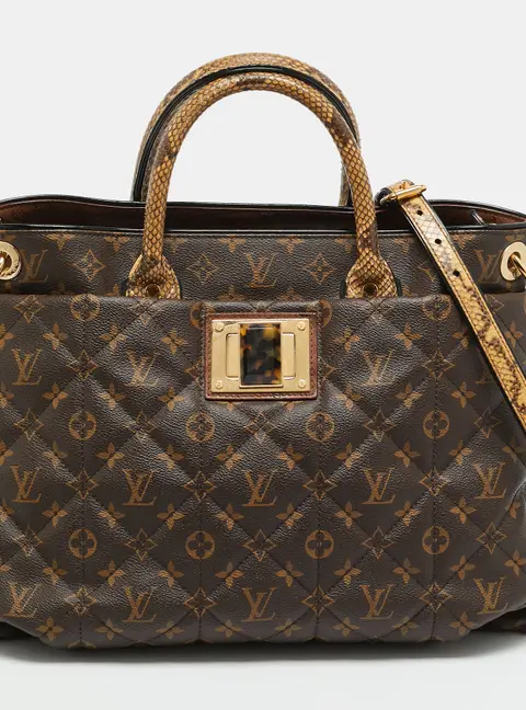 Louis Vuitton Limited Edition Etoile Exotique GM Monogram Canvas Bag