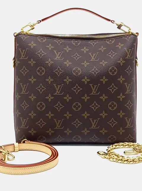 Louis Vuitton Multipass PM Brown Monogram Canvas Shoulder Bag