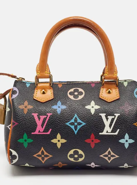 Louis Vuitton Speedy Mini Black Multicolor Canvas Bag