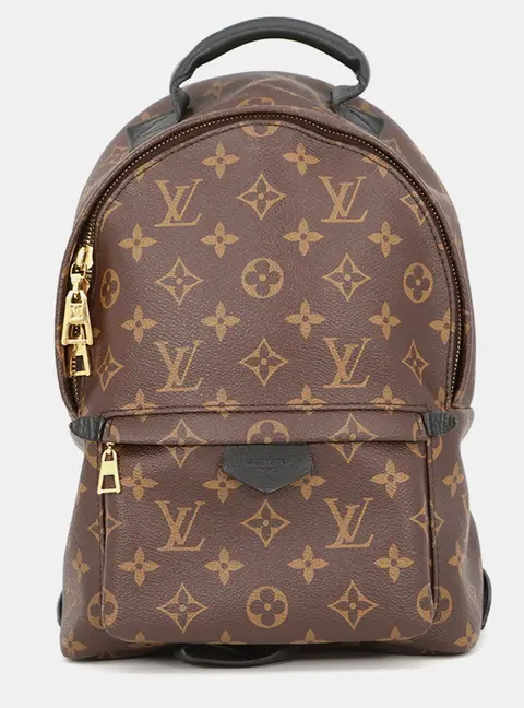 Louis Vuitton Palm Springs PM Brown Monogram Canvas Backpack Bag