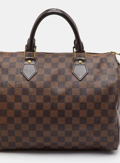 Louis Vuitton Speedy 30 Damier Ebene Canvas Bag