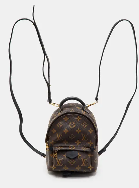 Louis Vuitton Palm Springs Mini Monogram Canvas Backpack