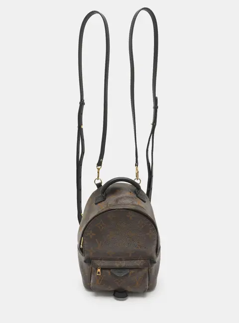 Louis Vuitton Palm Springs Mini Monogram Canvas Backpack