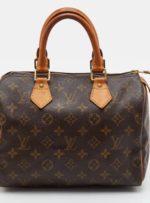 Louis Vuitton Speedy 25 Monogram Canvas Bag