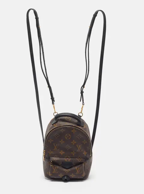 Louis Vuitton Palm Springs Mini Monogram Canvas Backpack