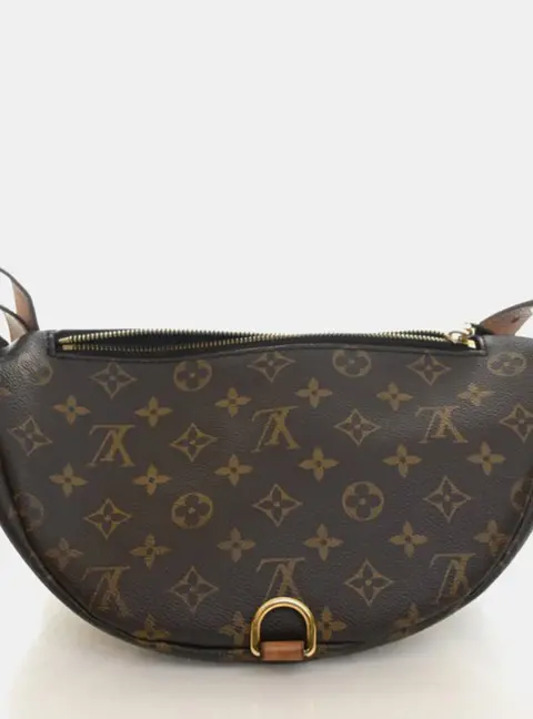 Louis Vuitton Bumbag Classic Brown Monogram Canvas Waist Bag