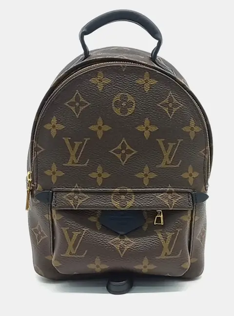 Louis Vuitton Brown PVC Palm Springs Mini Backpack