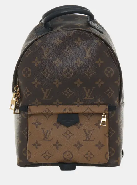 Louis Vuitton Palm Springs PM Monogram Canvas Backpack Bag