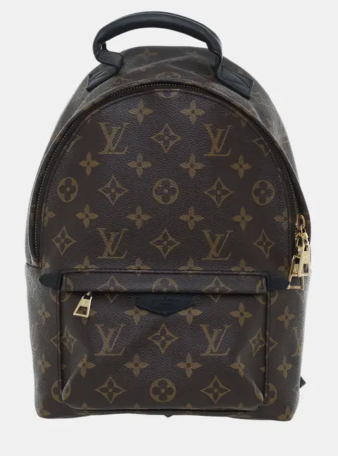 Louis Vuitton Palm Springs PM Monogram Canvas Backpack Bag