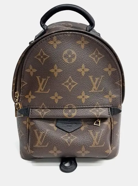 Louis Vuitton Brown PVC Palm Springs Mini Backpack
