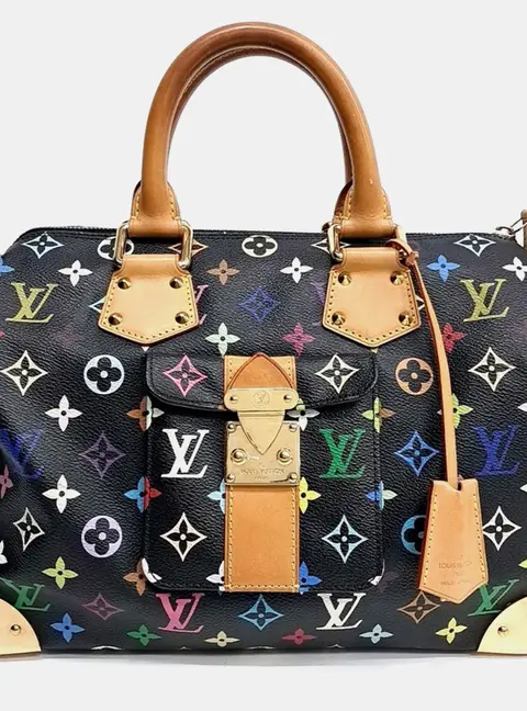 Louis Vuitton Multi Speedy 30 Black Multicolor Canvas Top Handle Bag