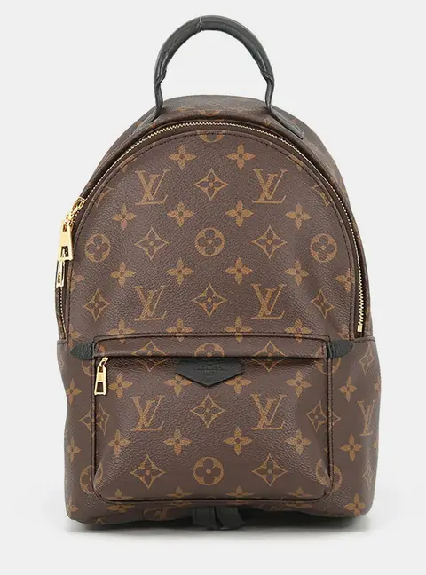 Louis Vuitton Palm Springs Backpack Noir Monogram Size Pm