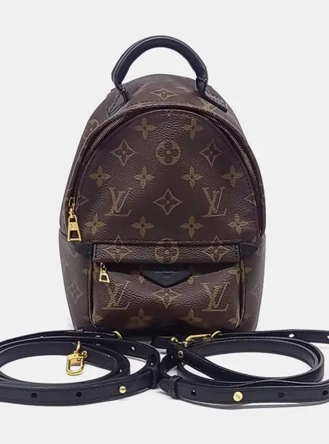 Louis Vuitton Brown PVC Palm Springs Backpack Mini