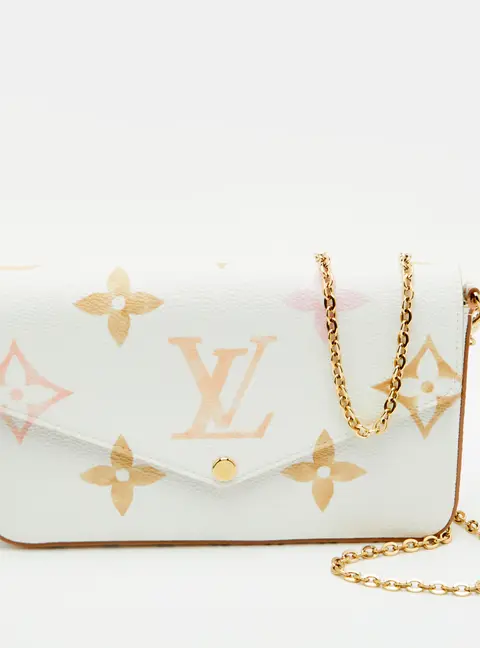 Louis Vuitton Monogram Giant Watercolor By The Pool Pochette Felicie Bag