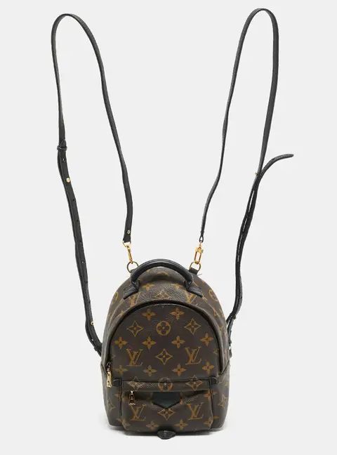 Louis Vuitton Palm Springs Mini Monogram Canvas Backpack