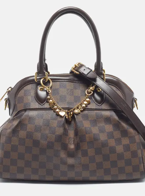 Louis Vuitton Trevi PM Damier Ebene Canvas Bag