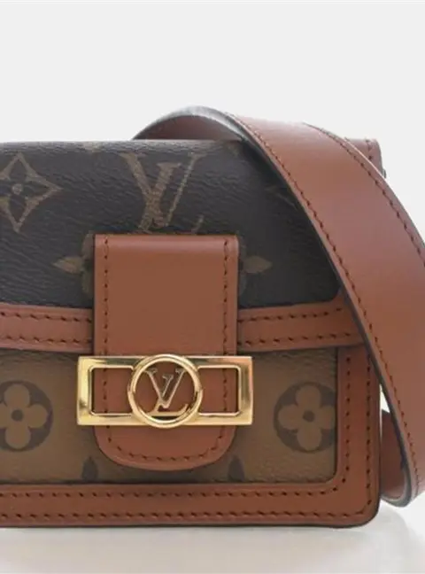 Louis Vuitton Dauphine Reverse Monogram Canvas Belt Bag