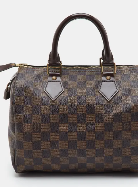 Louis Vuitton Speedy 25 Damier Ebene Canvas Bag
