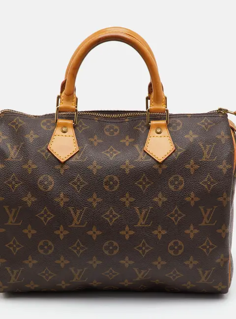 Louis Vuitton Speedy 30 Monogram Canvas Bag