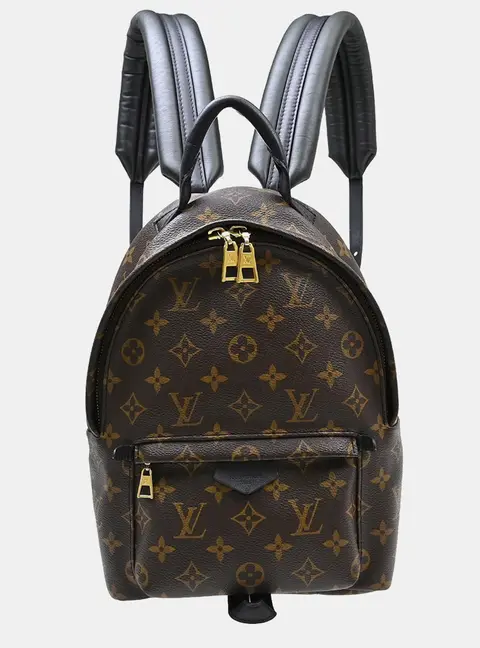 Louis Vuitton Palm Springs PM Brown Monogram Canvas Backpack Bag