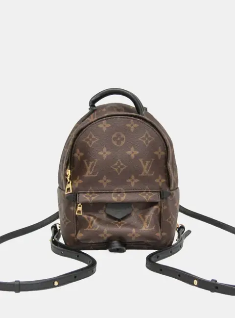 Louis Vuitton Palm Springs Mini Brown Monogram Canvas Backpack Bag